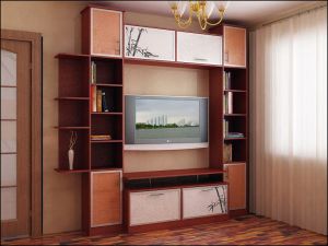 книжный шкаф купе в комнату